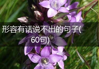 形容有话说不出的句子(60句)