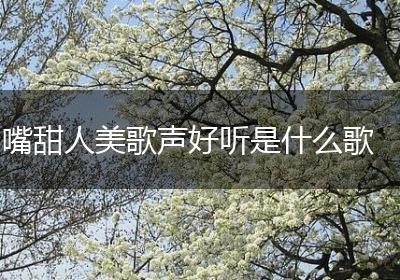 嘴甜人美歌声好听是什么歌