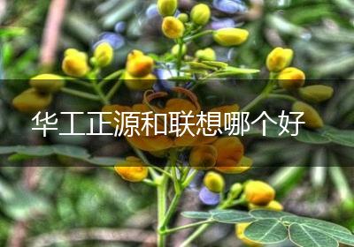 华工正源和联想哪个好