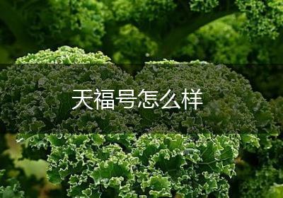 天福号怎么样