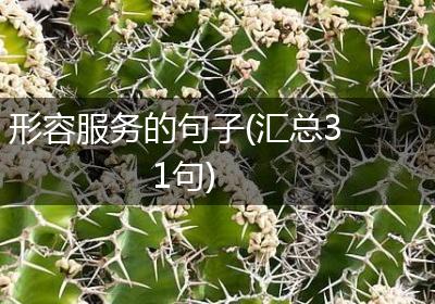 形容服务的句子(汇总31句)