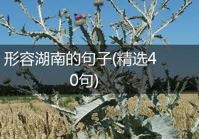 形容湖南的句子(精选40句)