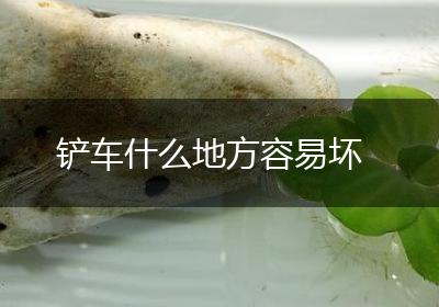 铲车什么地方容易坏