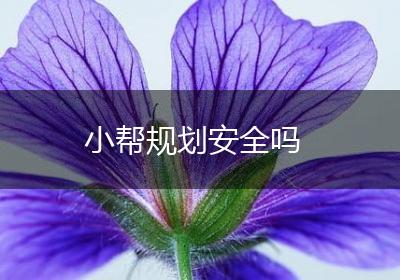 小帮规划安全吗