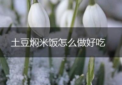 土豆焖米饭怎么做好吃