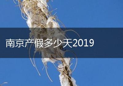 南京产假多少天2019