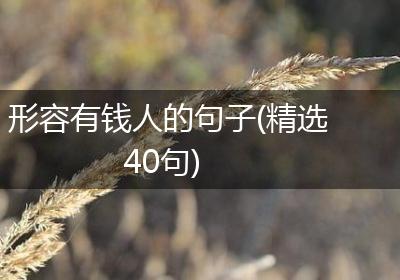 形容有钱人的句子(精选40句)