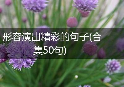形容演出精彩的句子(合集50句)