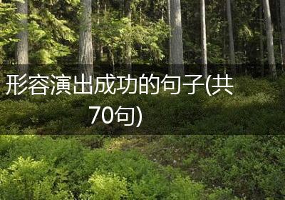 形容演出成功的句子(共70句)