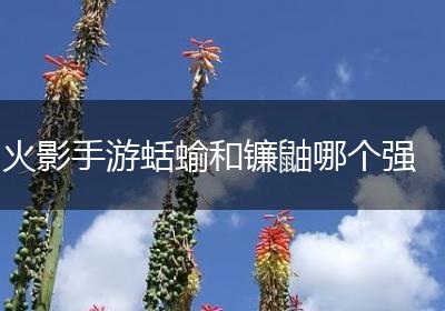 火影手游蛞蝓和镰鼬哪个强