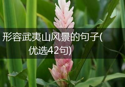 形容武夷山风景的句子(优选42句)