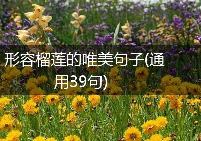 形容榴莲的唯美句子(通用39句)