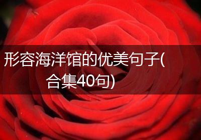 形容海洋馆的优美句子(合集40句)