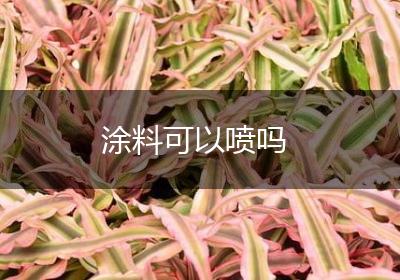 涂料可以喷吗