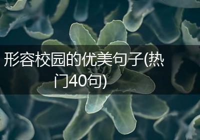 形容校园的优美句子(热门40句)