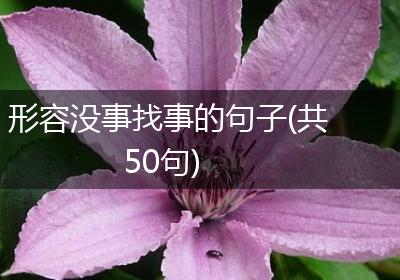 形容没事找事的句子(共50句)