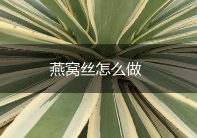 燕窝丝怎么做