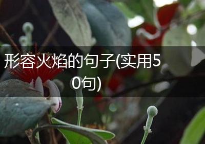 形容火焰的句子(实用50句)