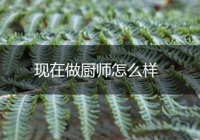 现在做厨师怎么样