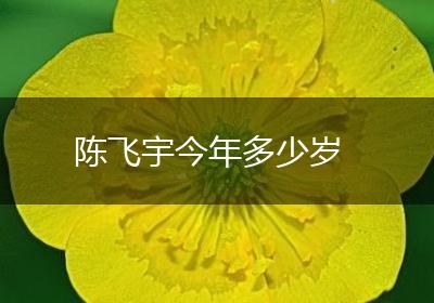 陈飞宇今年多少岁