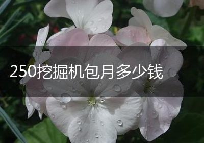 250挖掘机包月多少钱