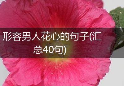 形容男人花心的句子(汇总40句)