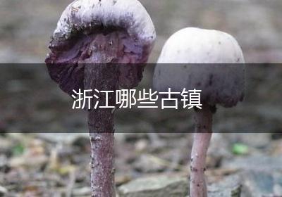 浙江哪些古镇