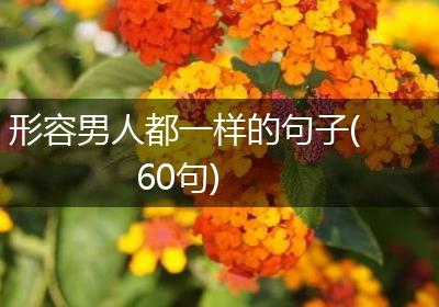 形容男人都一样的句子(60句)