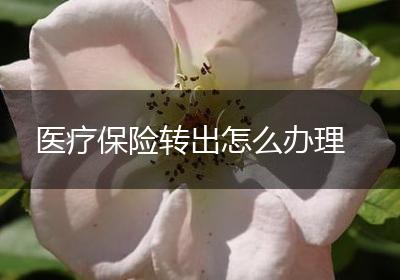 医疗保险转出怎么办理