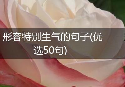 形容特别生气的句子(优选50句)