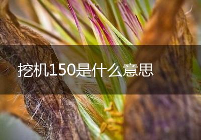 挖机150是什么意思