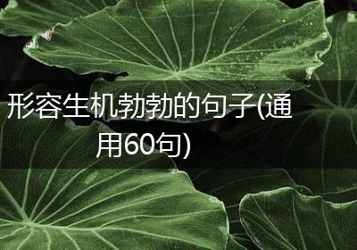 形容生机勃勃的句子(通用60句)
