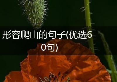 形容爬山的句子(优选60句)