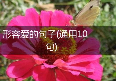 形容爱的句子(通用10句)
