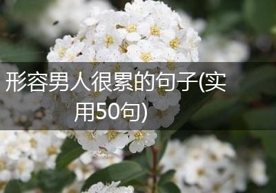 形容男人很累的句子(实用50句)
