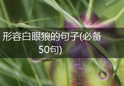 形容白眼狼的句子(必备50句)
