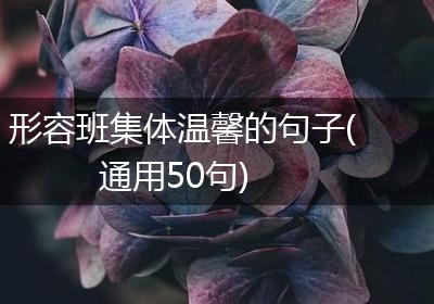 形容班集体温馨的句子(通用50句)