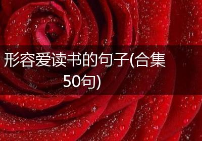 形容爱读书的句子(合集50句)