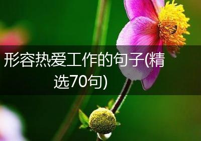 形容热爱工作的句子(精选70句)