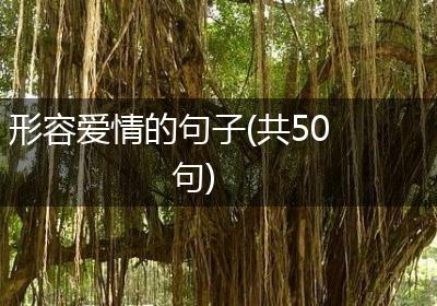 形容爱情的句子(共50句)