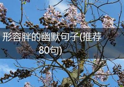 形容胖的幽默句子(推荐80句)