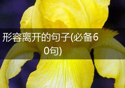 形容离开的句子(必备60句)
