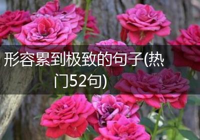 形容累到极致的句子(热门52句)