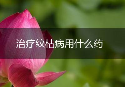 治疗纹枯病用什么药