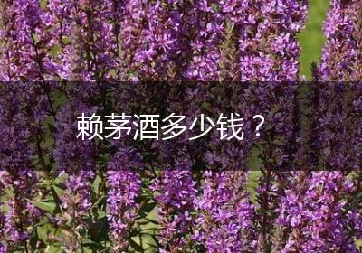 赖茅酒多少钱？