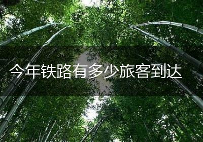 今年铁路有多少旅客到达