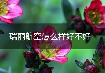 瑞丽航空怎么样好不好