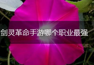 剑灵革命手游哪个职业最强