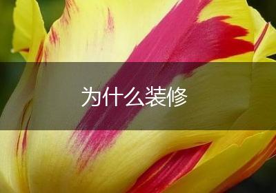 为什么装修