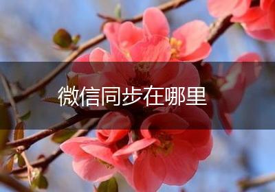 微信同步在哪里